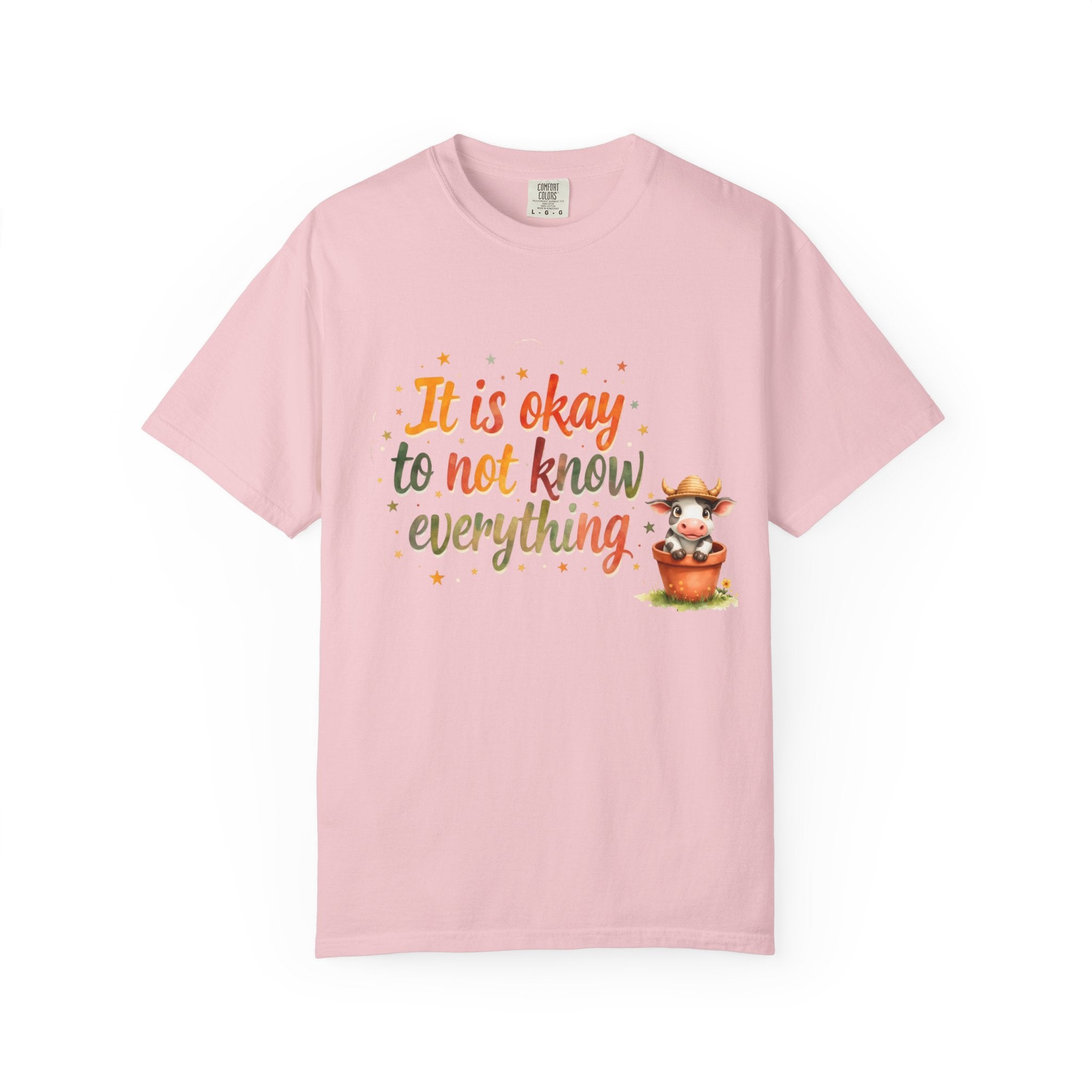 It Is Okay to Not Know Everything T-shirt | Cute Fox Illustration
