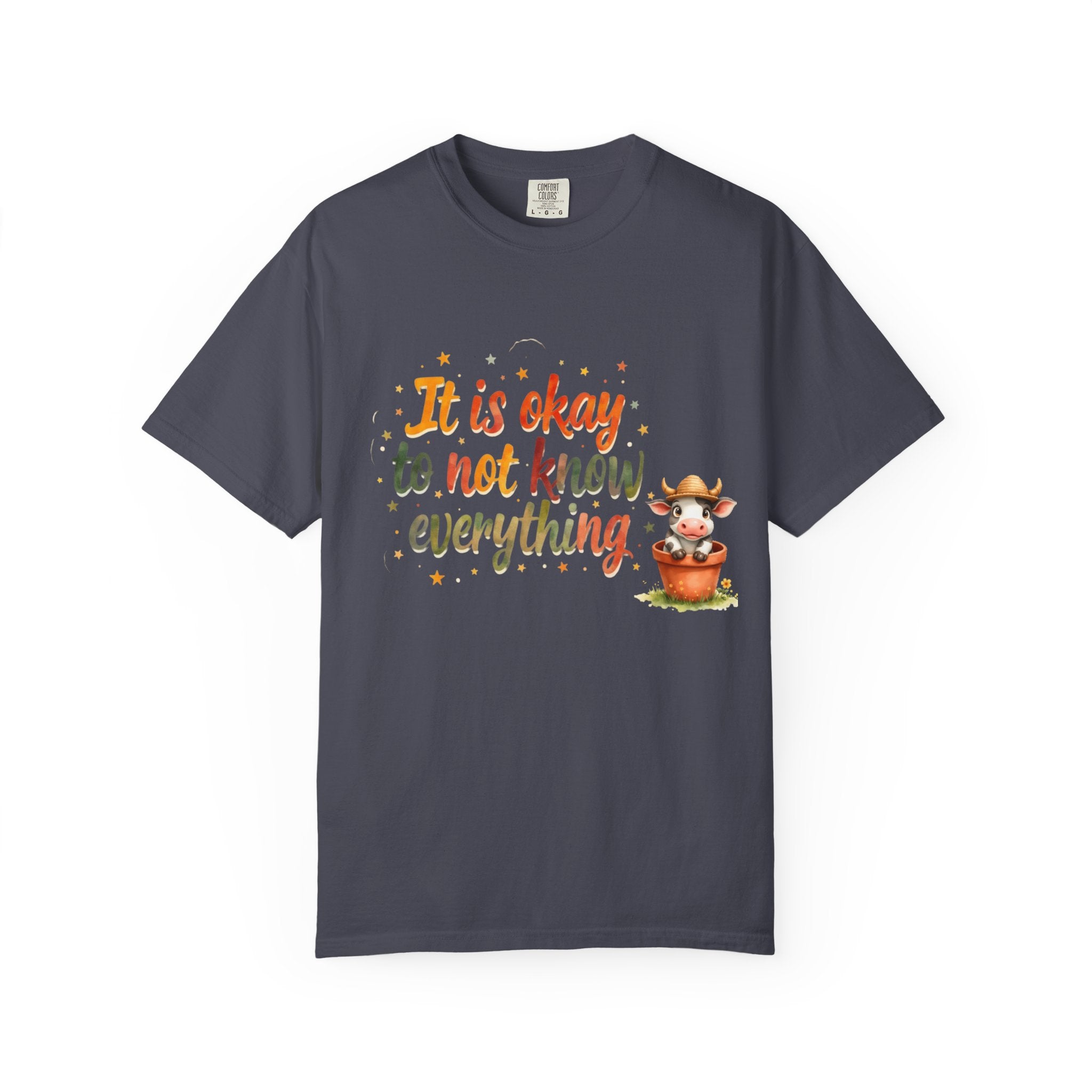 It Is Okay to Not Know Everything T-shirt | Cute Fox Illustration